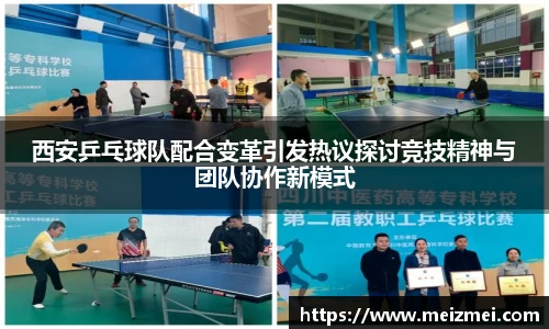 西安乒乓球队配合变革引发热议探讨竞技精神与团队协作新模式