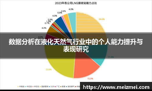 数据分析在液化天然气行业中的个人能力提升与表现研究
