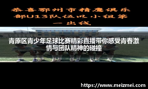 青原区青少年足球比赛精彩直播带你感受青春激情与团队精神的碰撞